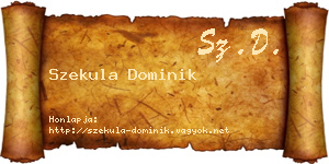 Szekula Dominik névjegykártya